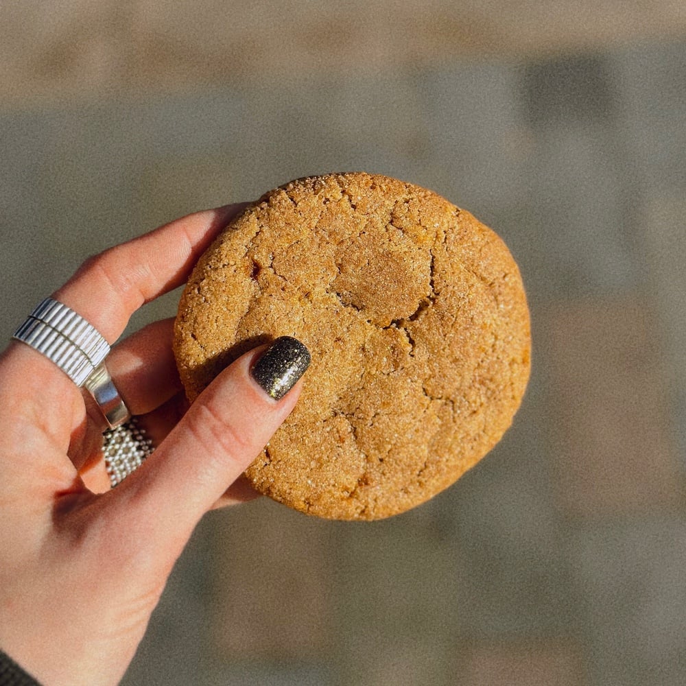 Ginger & Cinnamon cookie