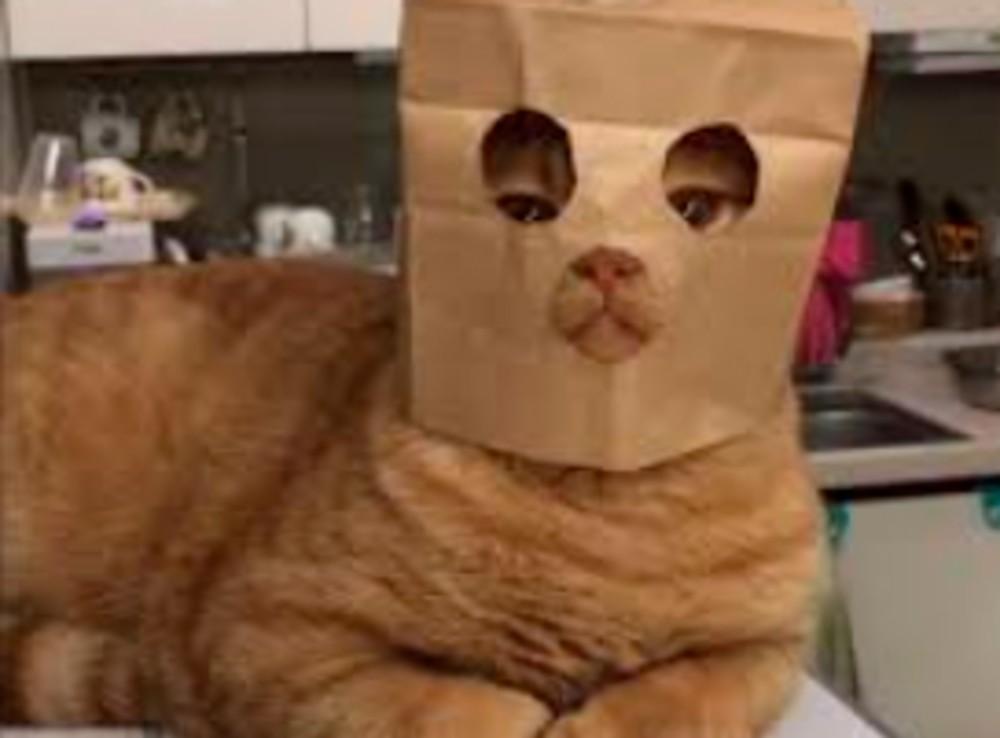 Paper bag