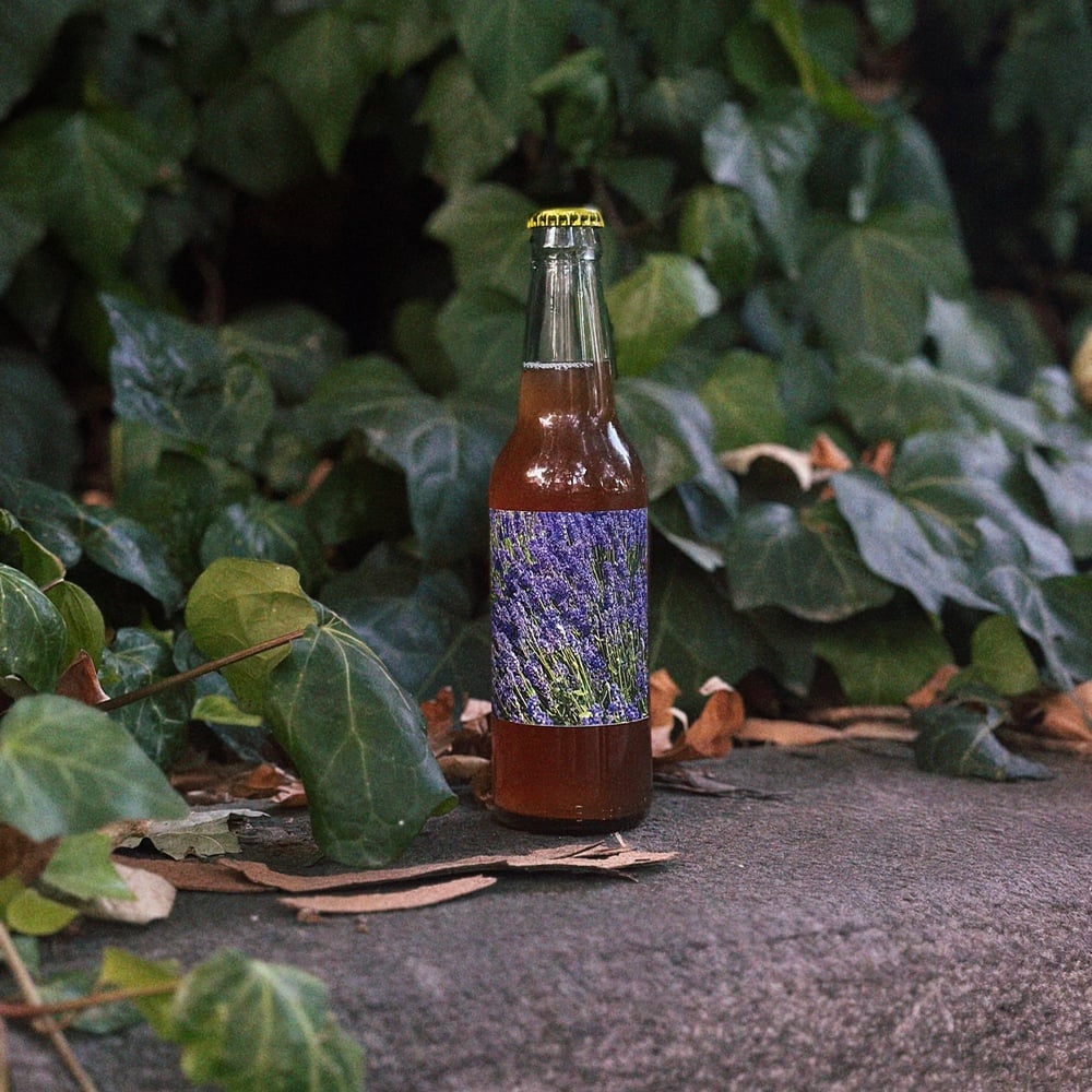 Kombucha Lavender