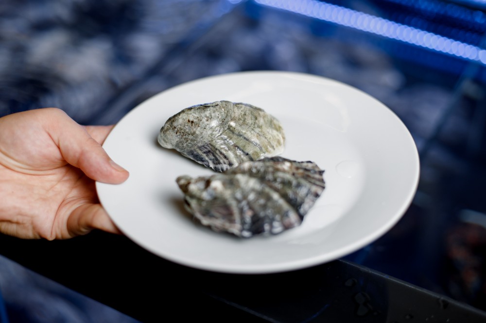Устриця Гі "2 (Oyster Gi)