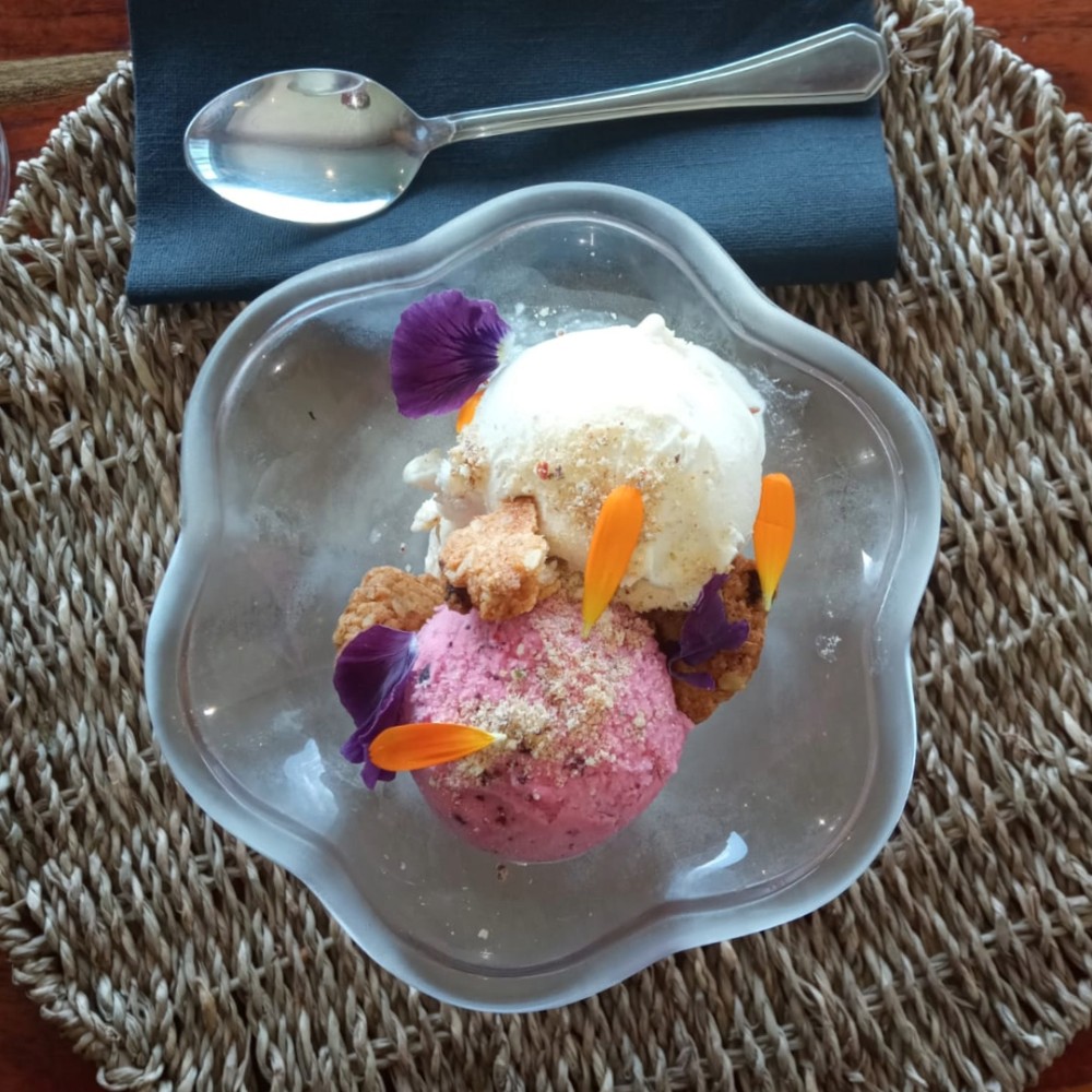 Helados Pudú