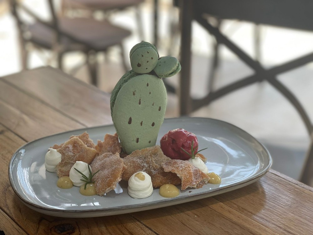 Cactus de Macarrón