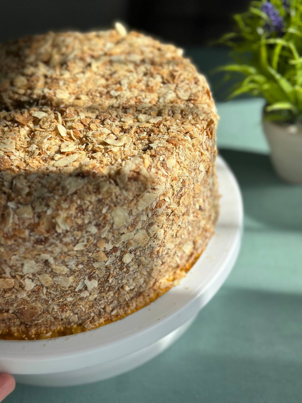 Наполеон класичний