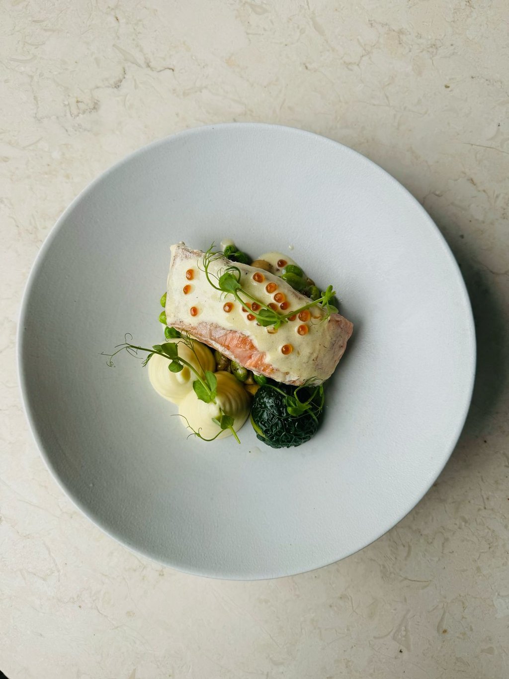 Salmon Steak