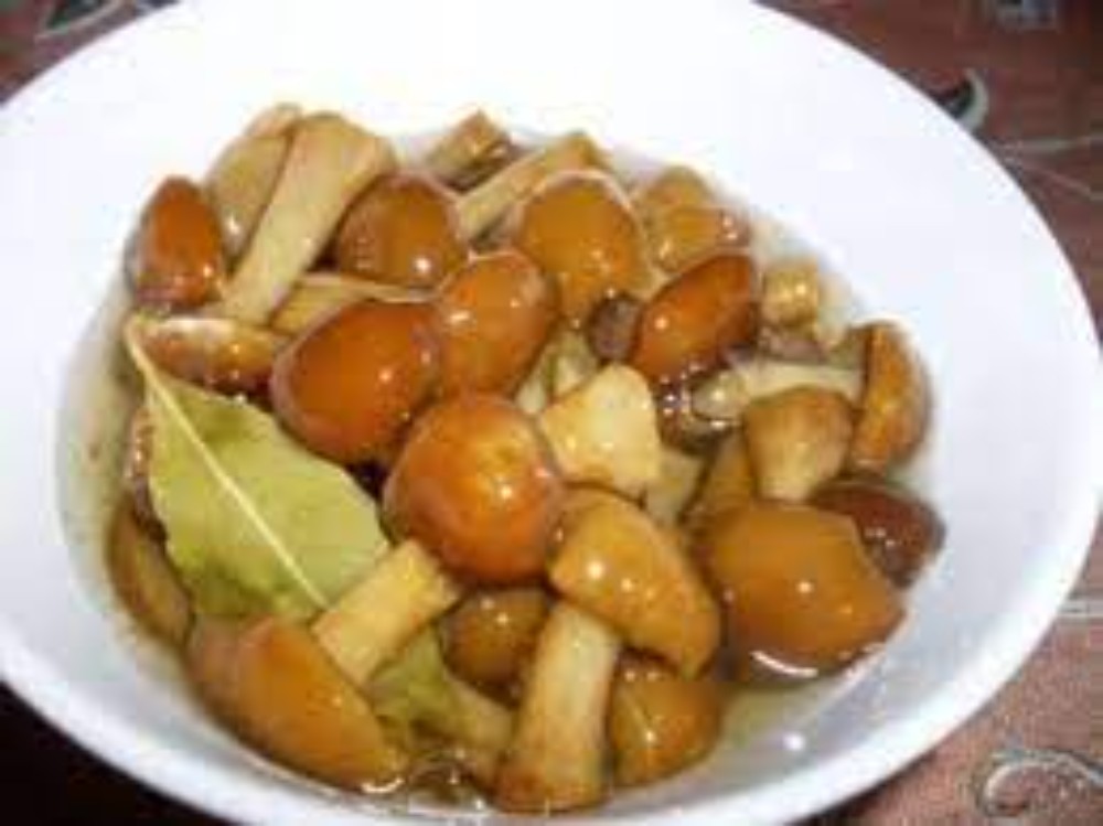 Мариновані опеньки