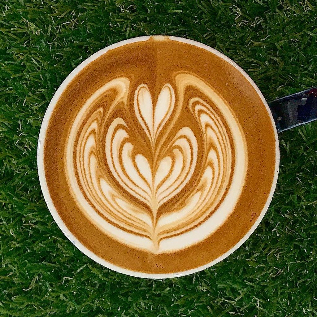 CAPPUCCINO / L