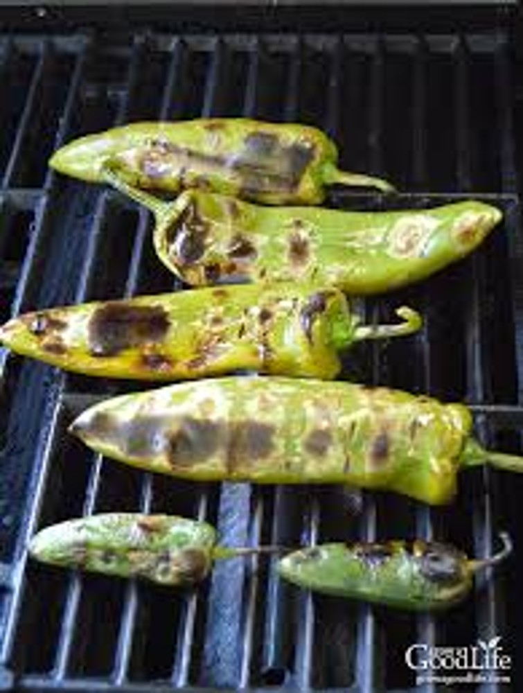 فلفل کبابی / Grilled pepper