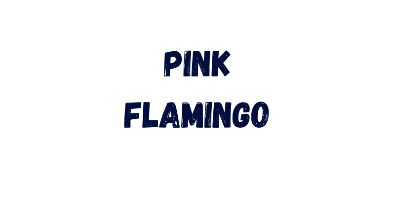 Pink Flamingo