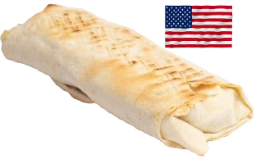 AMERICAN KEBAB