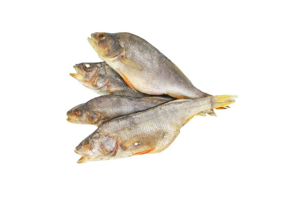 Окунь ікряний