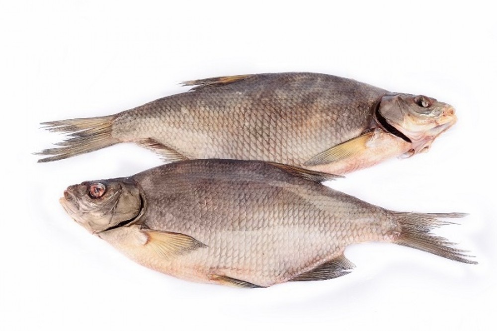 Лящ ікряний