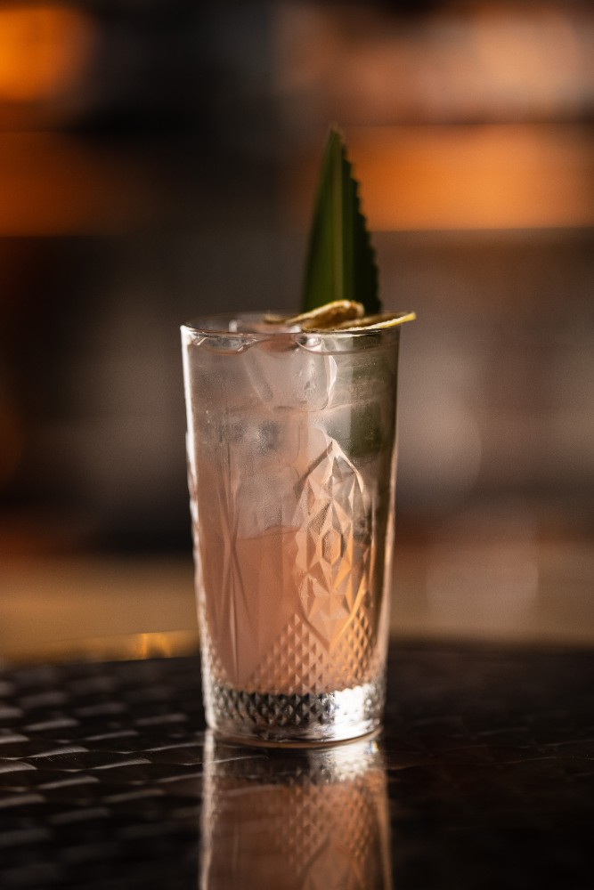 Paloma