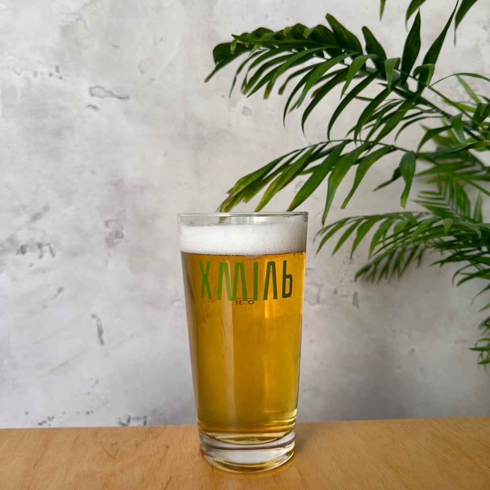 Пиво Stella Artois 0,5л.