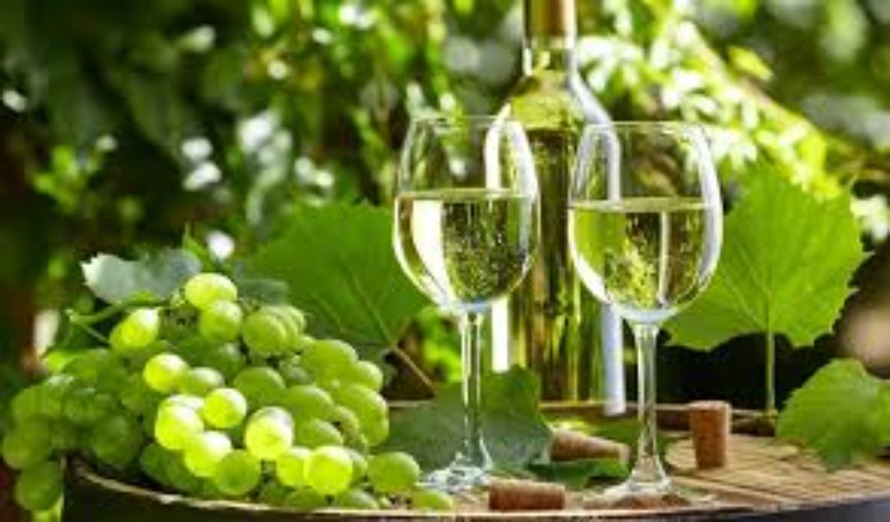 Вино "Pinot Grigio Delle Venezie Vila Cormaro" (порція 50 мл, біле)