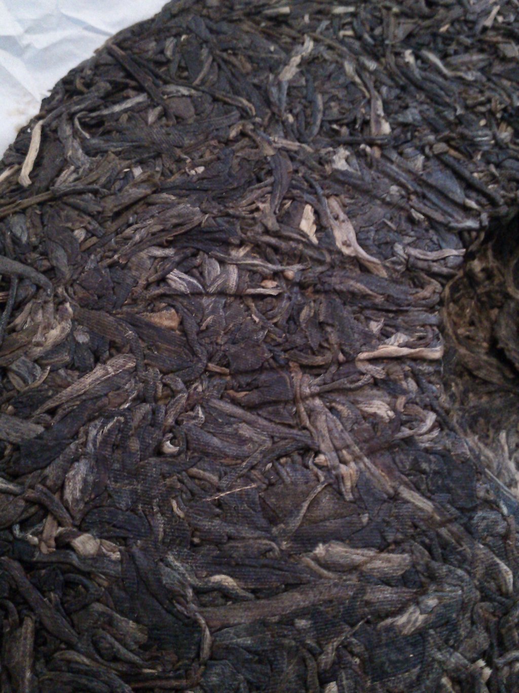 Puerh