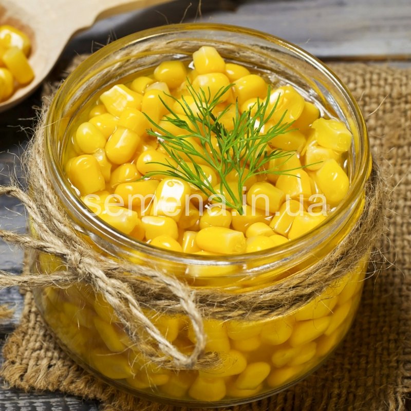 Кукурудза