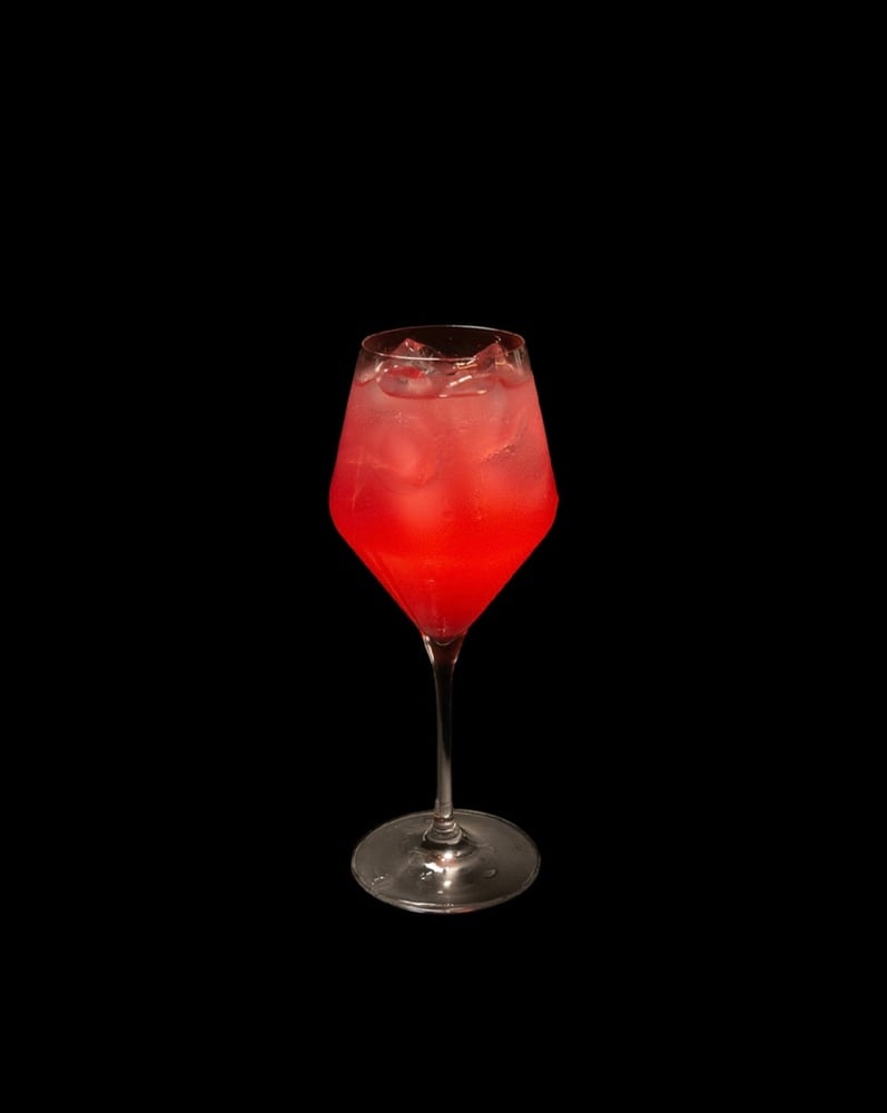 Martini Fiero tonic