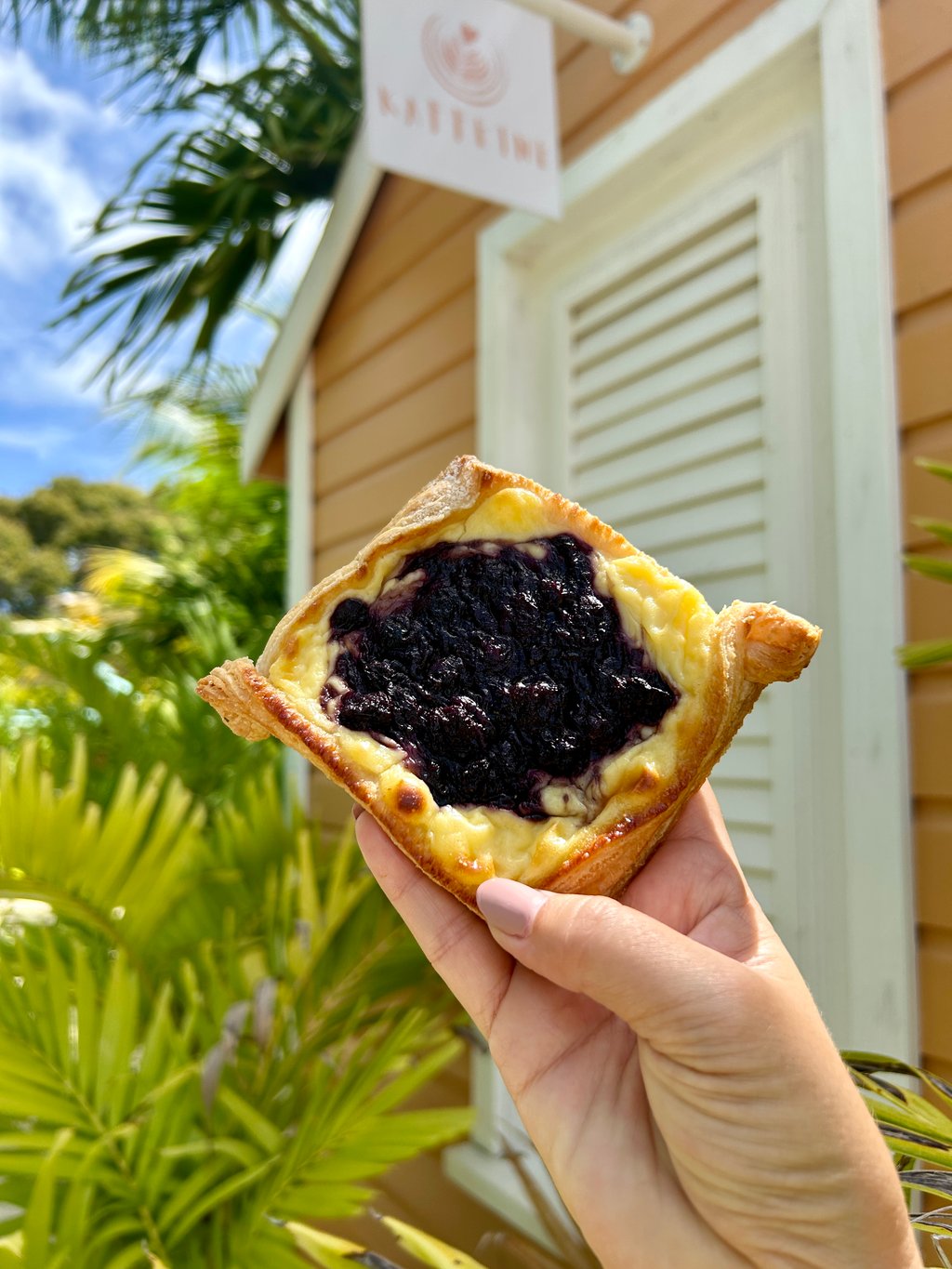 Blueberry Danish (Tues-Sat)