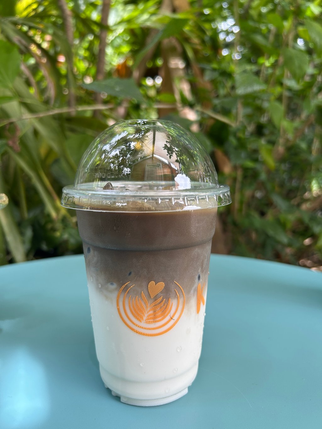 Hojicha Iced Latte
