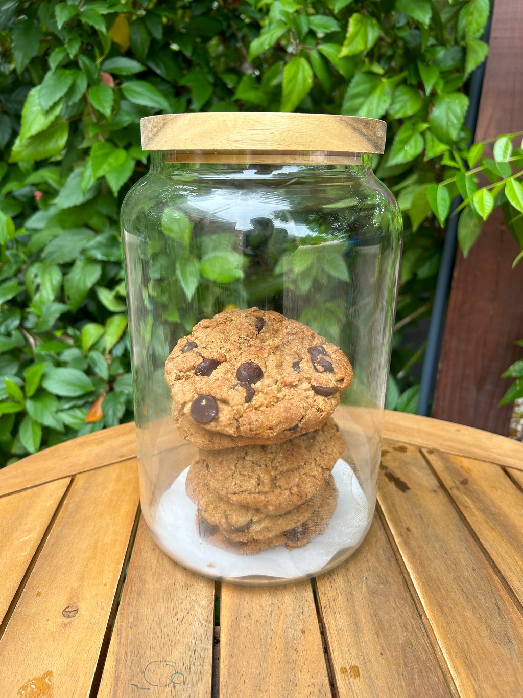 Paleo Chocolate Chip Cookie