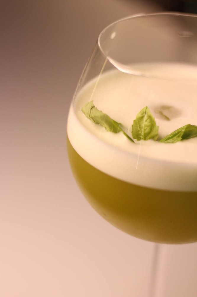 Basil Beauty