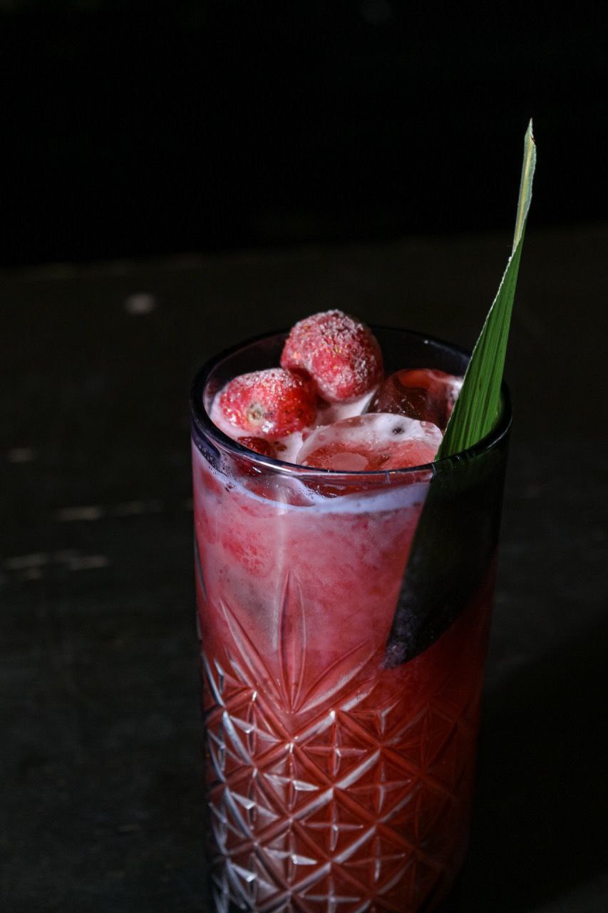 CocoBerry Splash