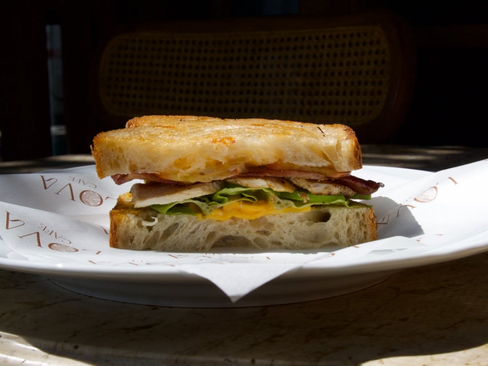 Chicken Avo BLT melt d