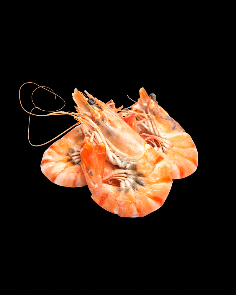 + Креветки тигрові 30