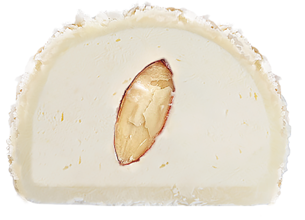 Моті Рафаель