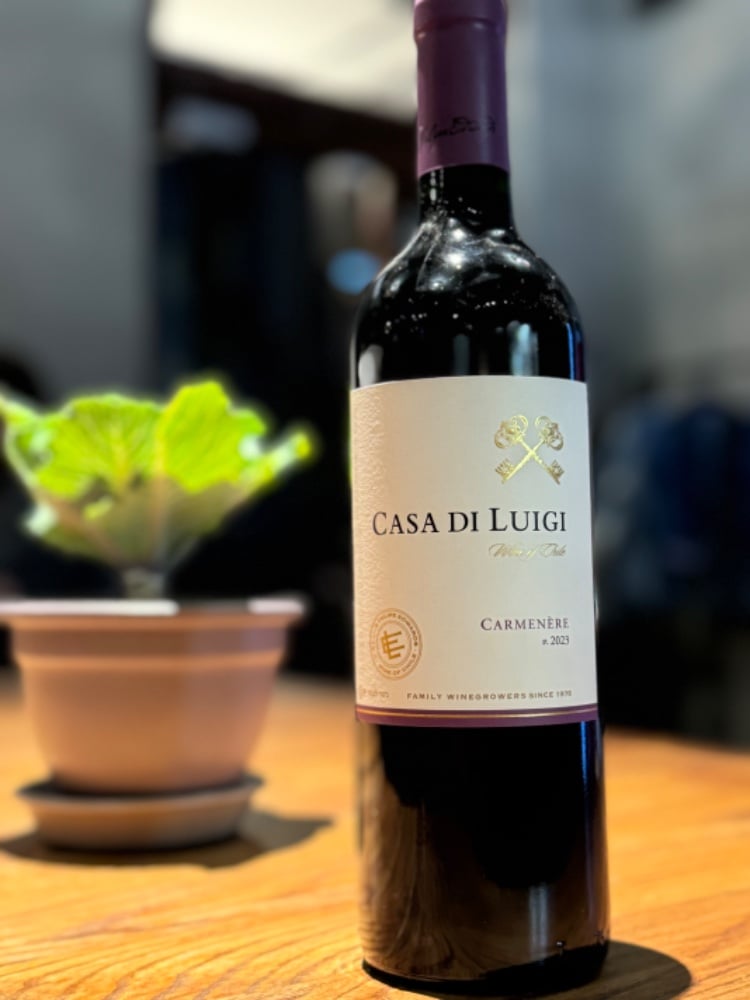 Вино червоне сухе Чилі Casa di Luigi Kosher Carmenere, 100 мл
