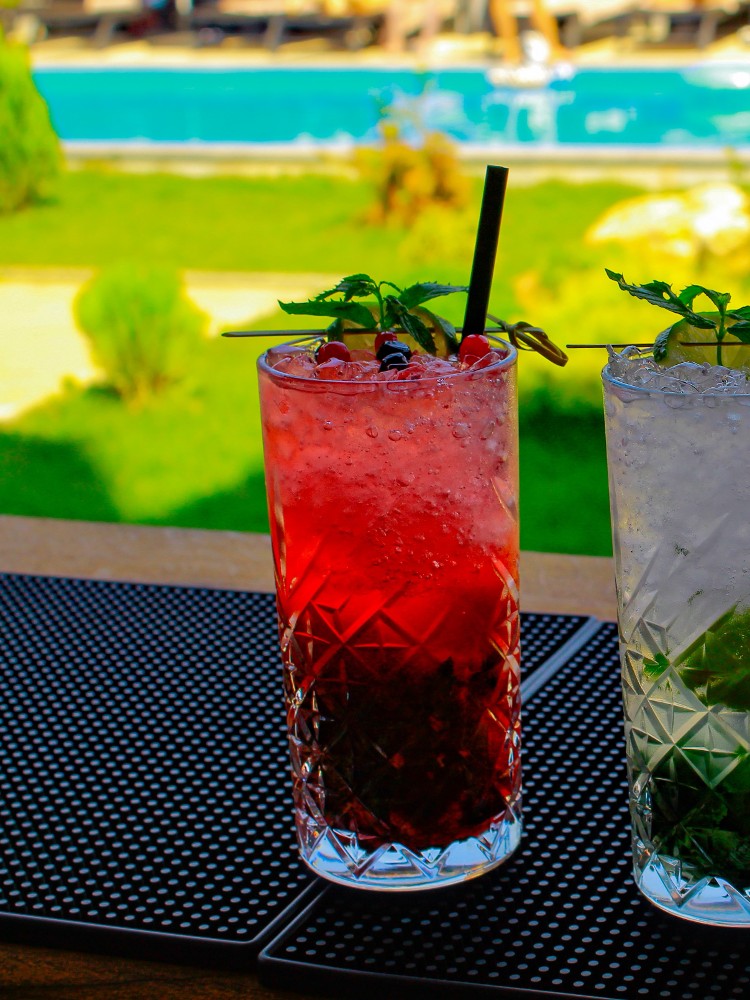 მოჰიტო კენკრით / Mojito with berry