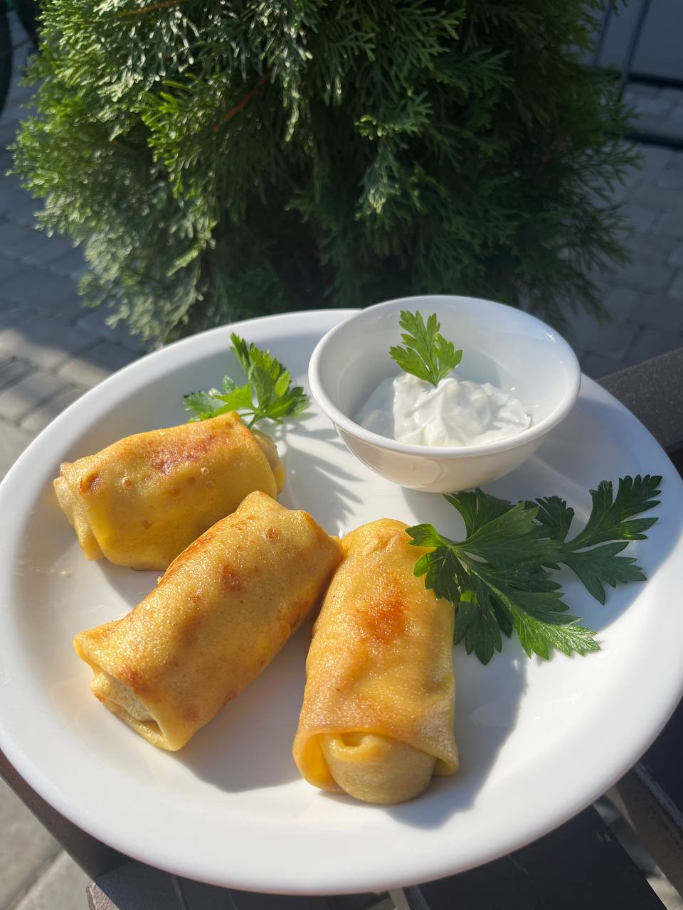 Млинці з м'ясом