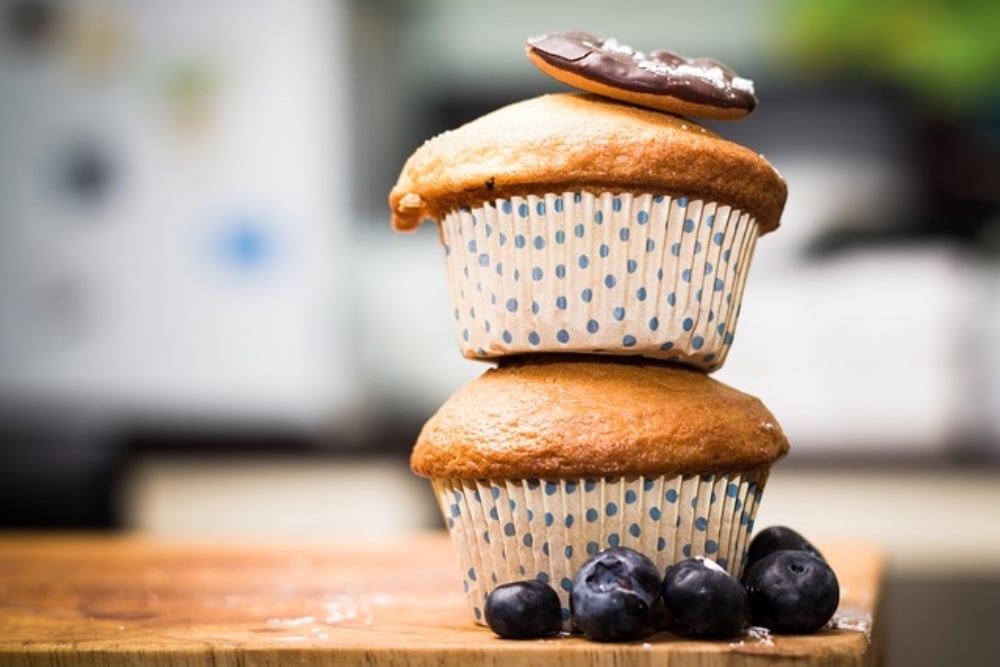 Blueberry muffin L