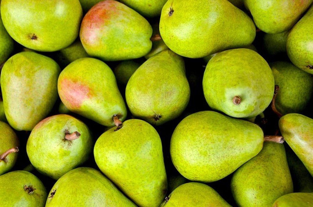 Pear Ade LARGE / მსხლის ადე დიდი