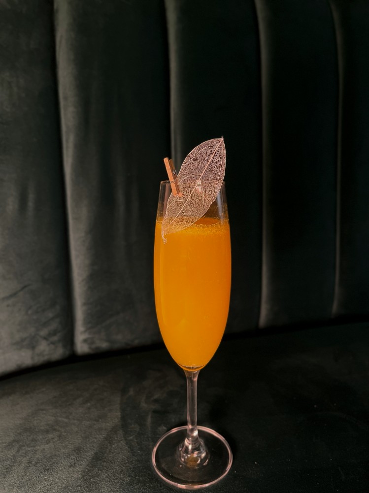 Mimosa