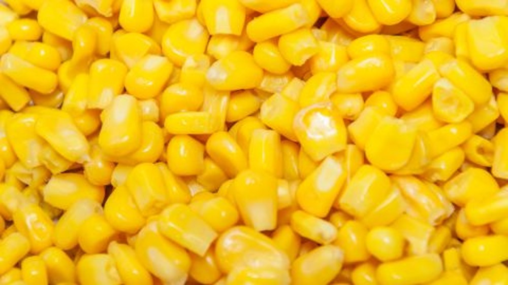 Кукурудза