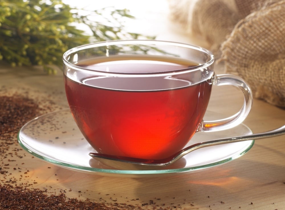 Rooibos
