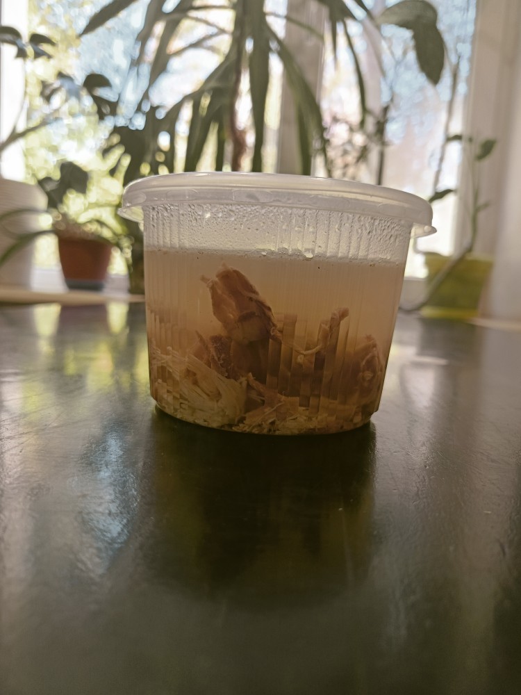 холодець 350 г.