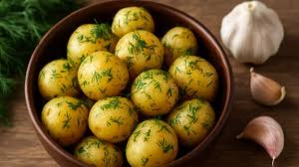 Картопля "Молодиця"