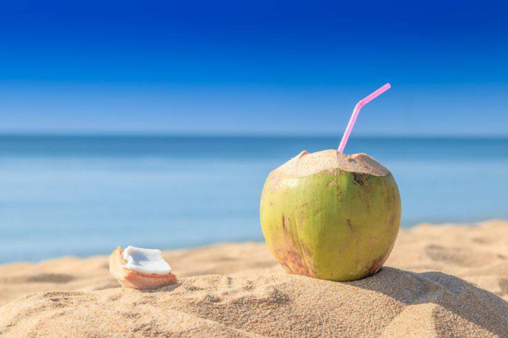 Coconut