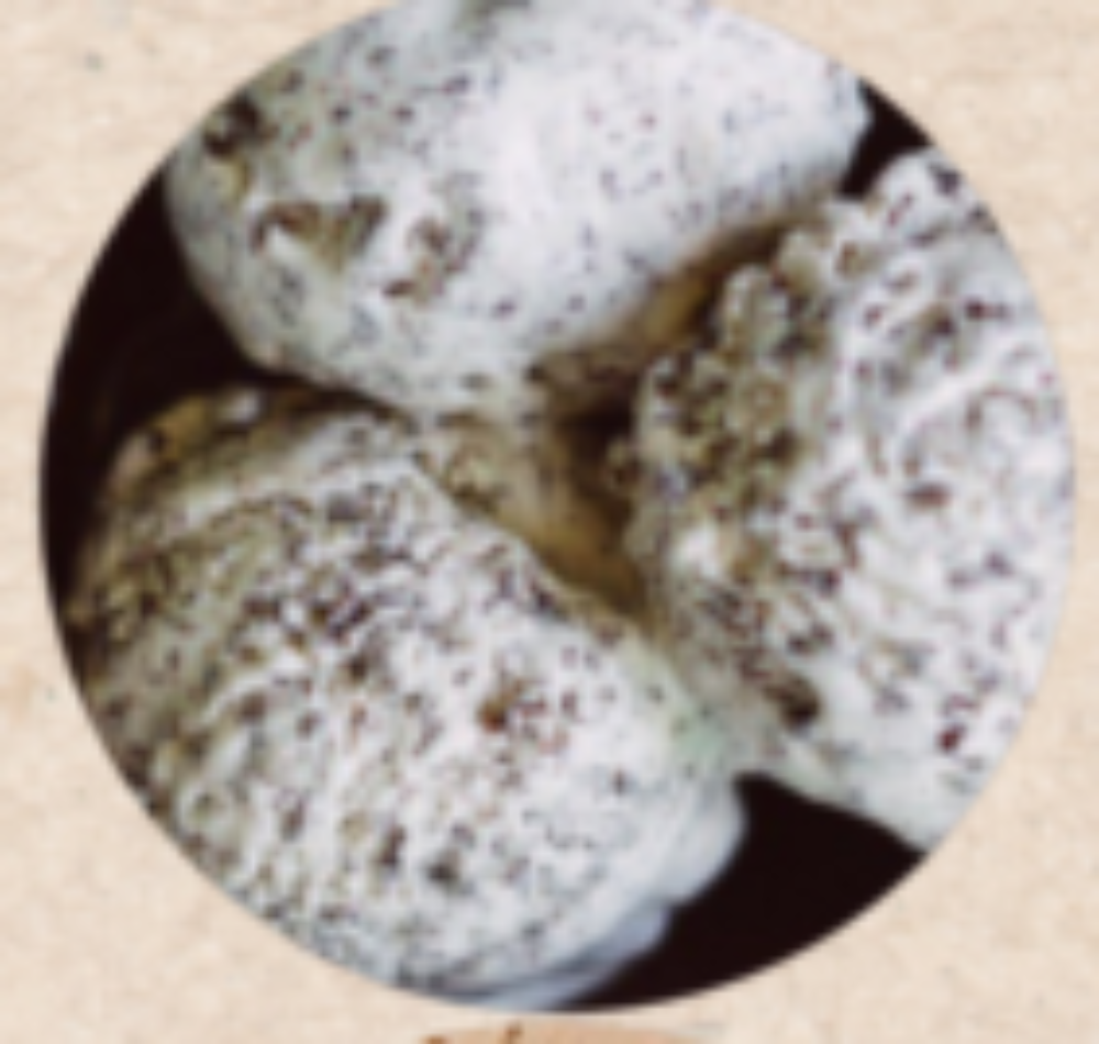 Coconut Stracciatella (Bounty) Ice Cream