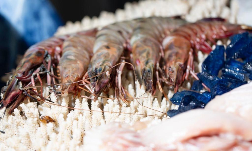 EXTRA FISH or PRAWNS