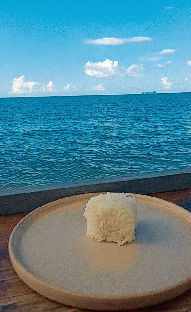 food_50g white rice 