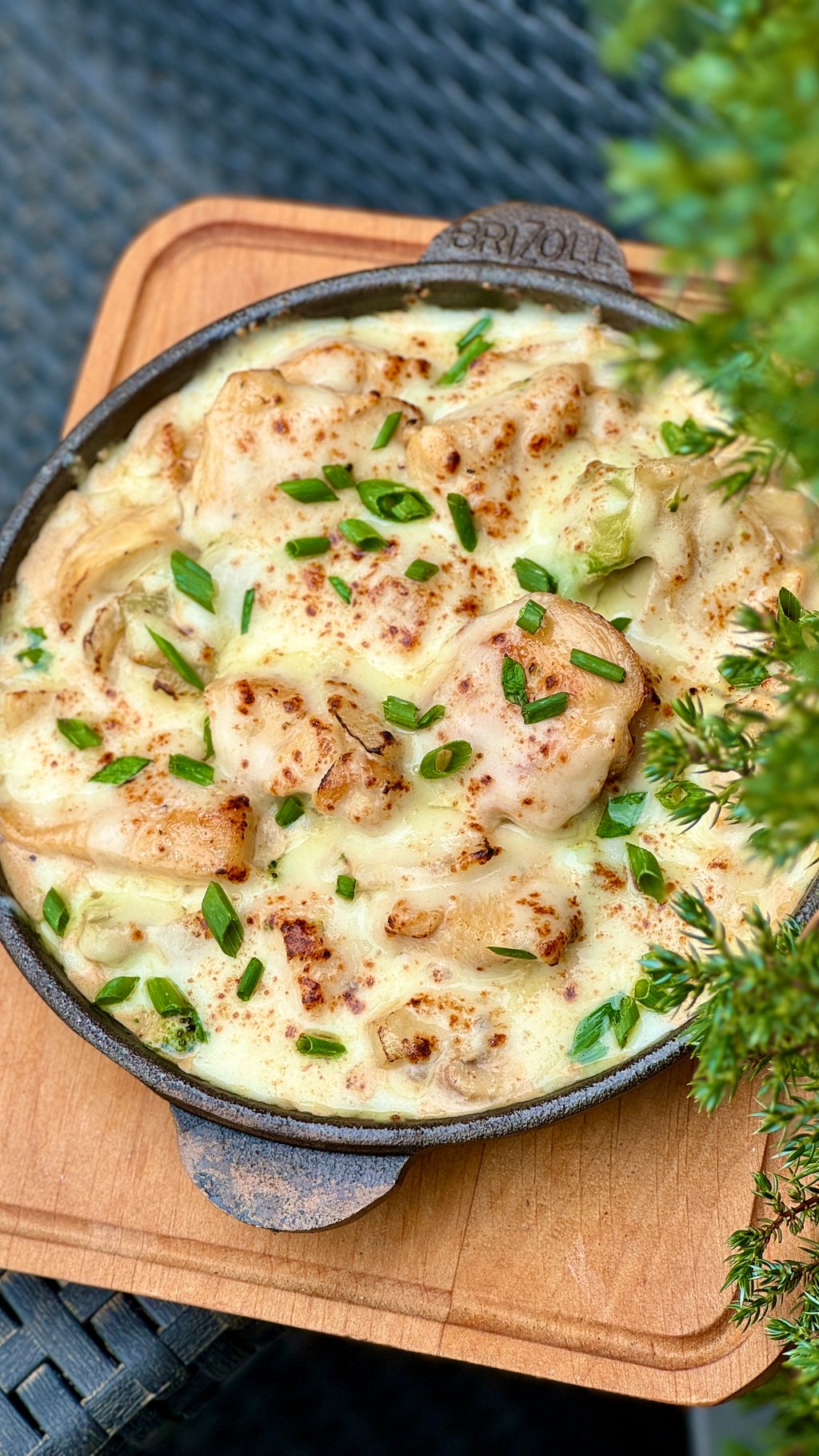 Пательня з куркою та овочами 