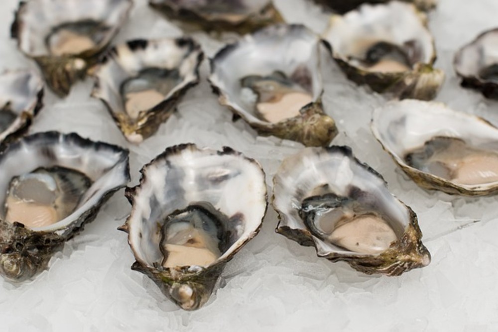 Especial Ostra Festival Menu 