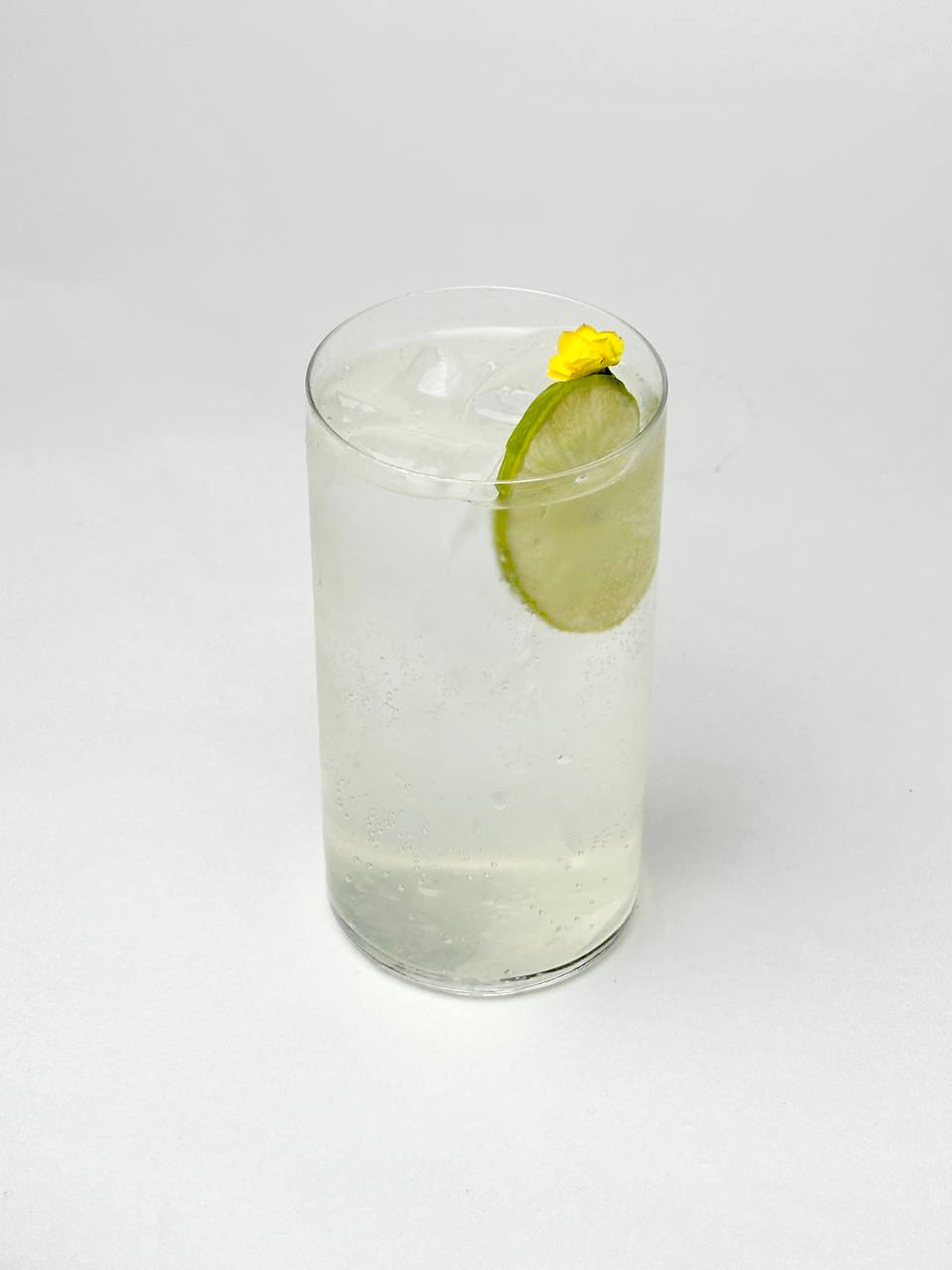 Gin Tonic