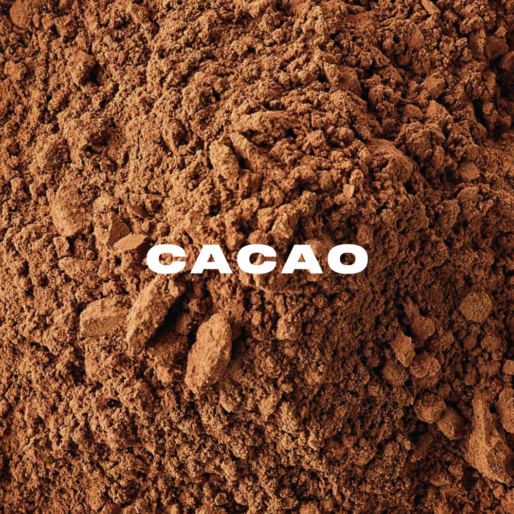 Cacao 