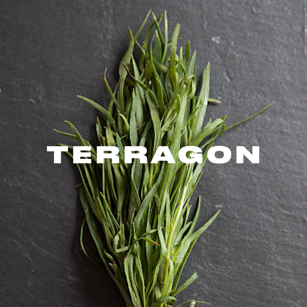 Terragon lemonade