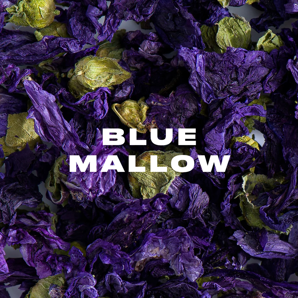 Blue mallow