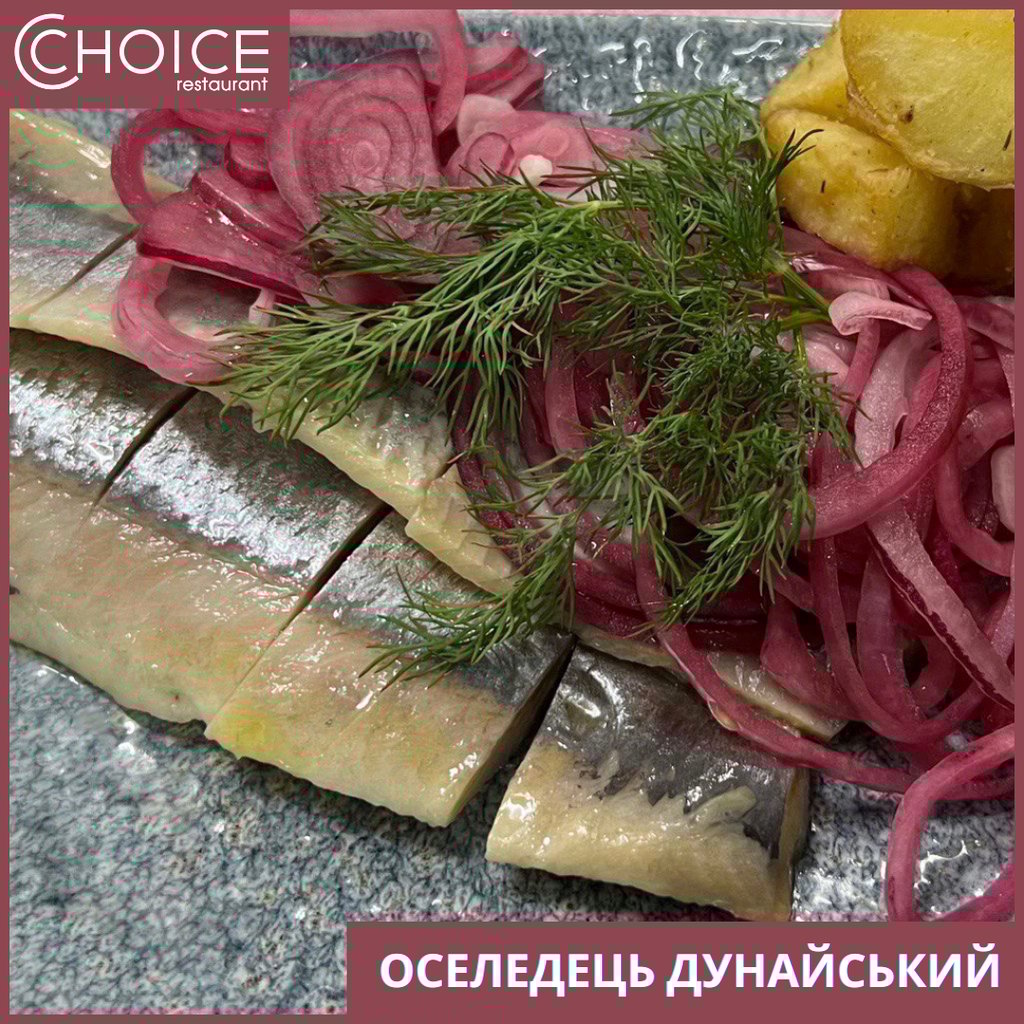 ОСЕЛЕДЕЦЬ ДУНАЙСЬКИЙ